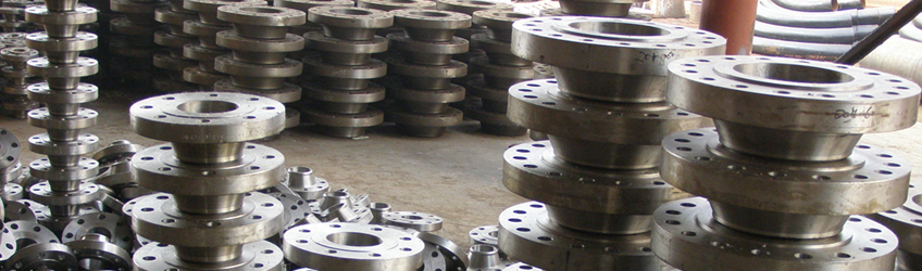 Stainless Steel 304L Flanges