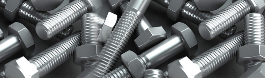 Stainless Steel 310 Fasteners