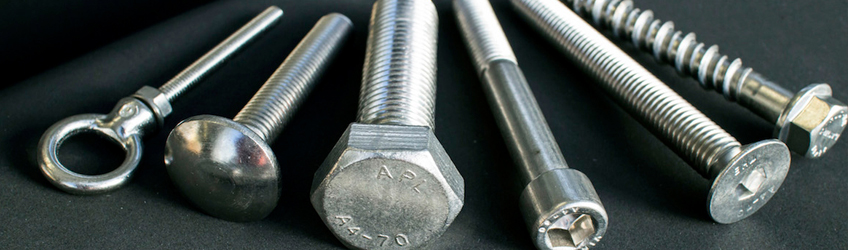 Stainless Steel 310S Fasteners