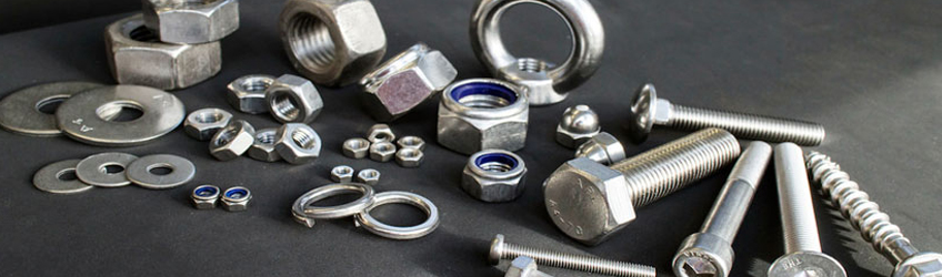 Stainless Steel 317L Fasteners