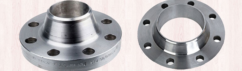 Stainless Steel 317L Flanges