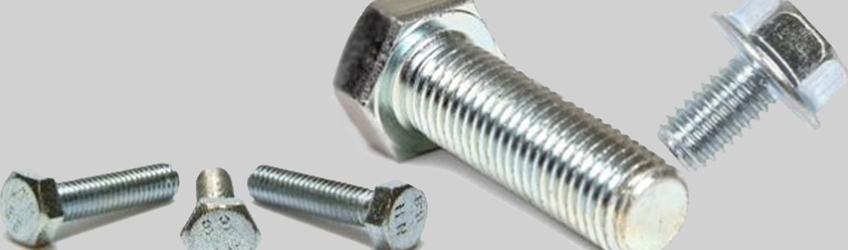 Stainless Steel 446 Fasteners