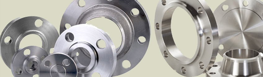 Stainless Steel 446 Flanges